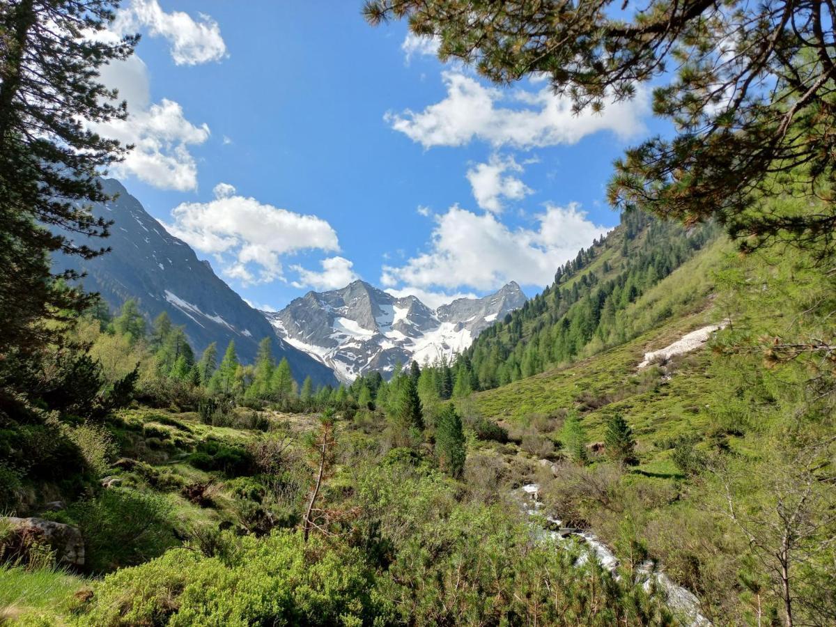 Summerer Peter Apartment Mayrhofen
